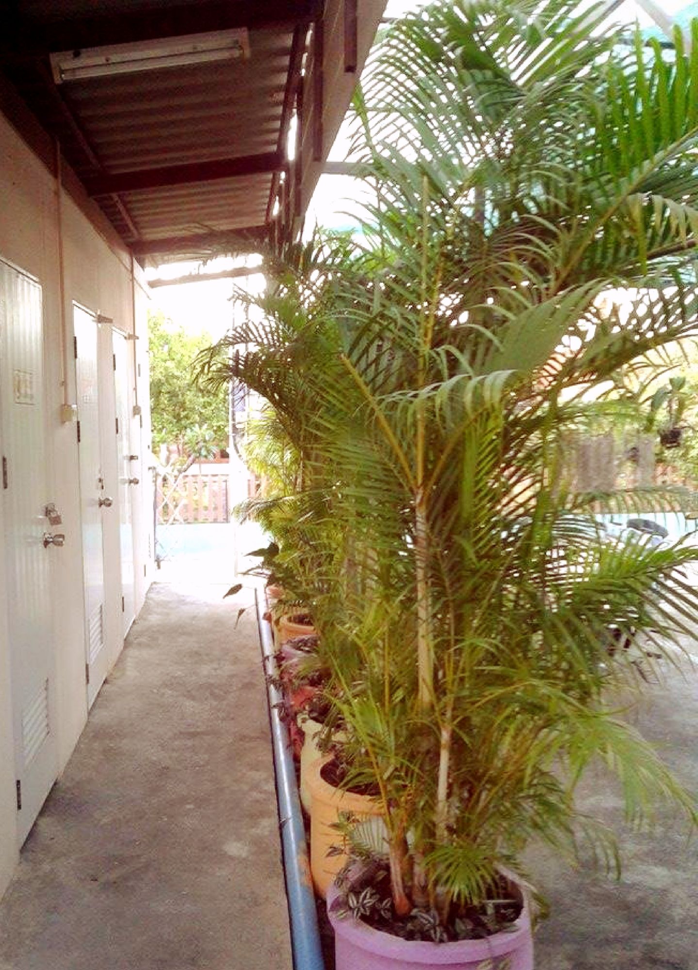 Фото My Home Guest House