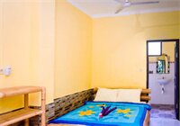 Фото Green View Widia