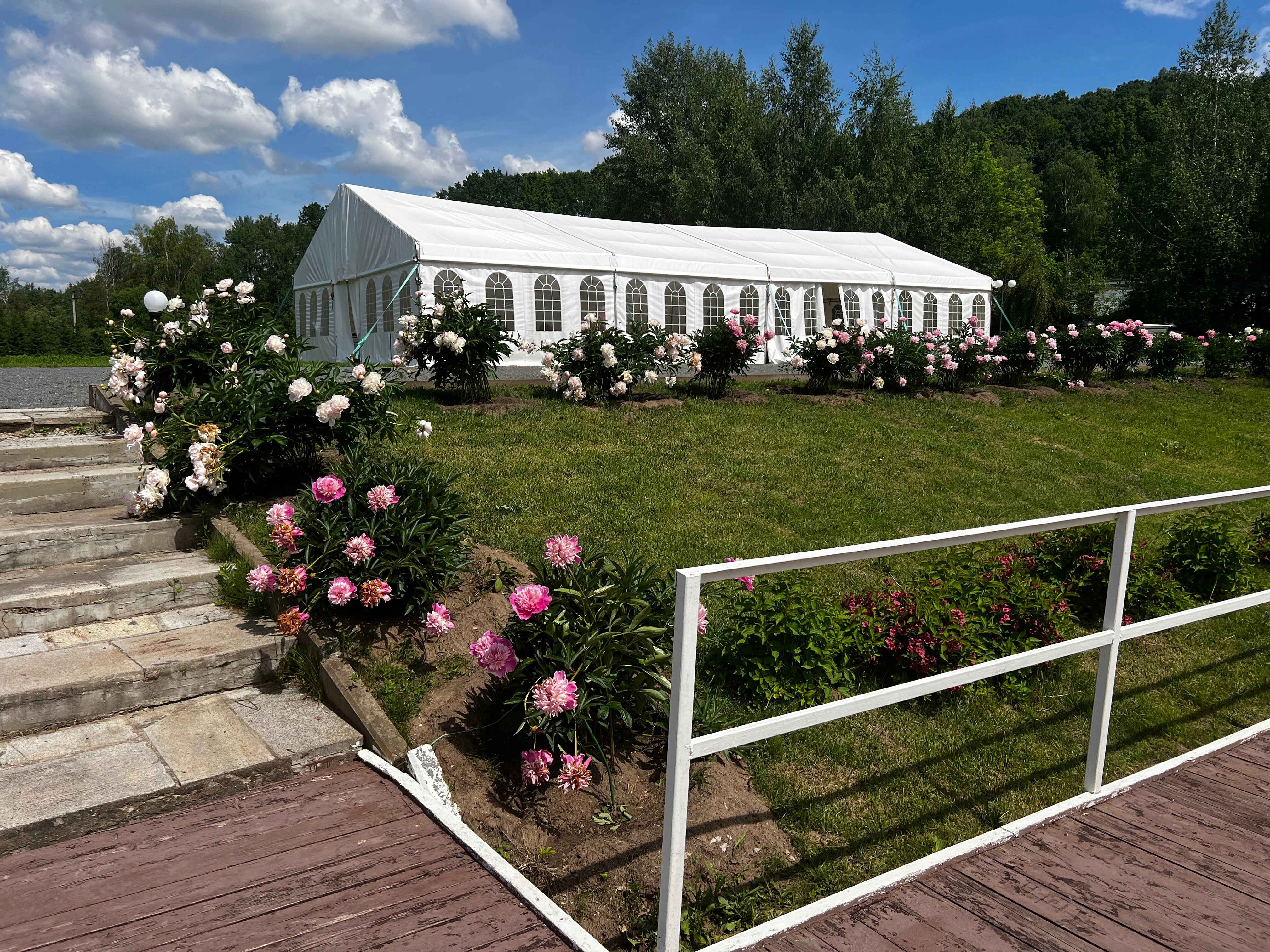 Фото Планерное