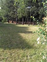 Фото Comfort Hotel Champigny Sur Marne