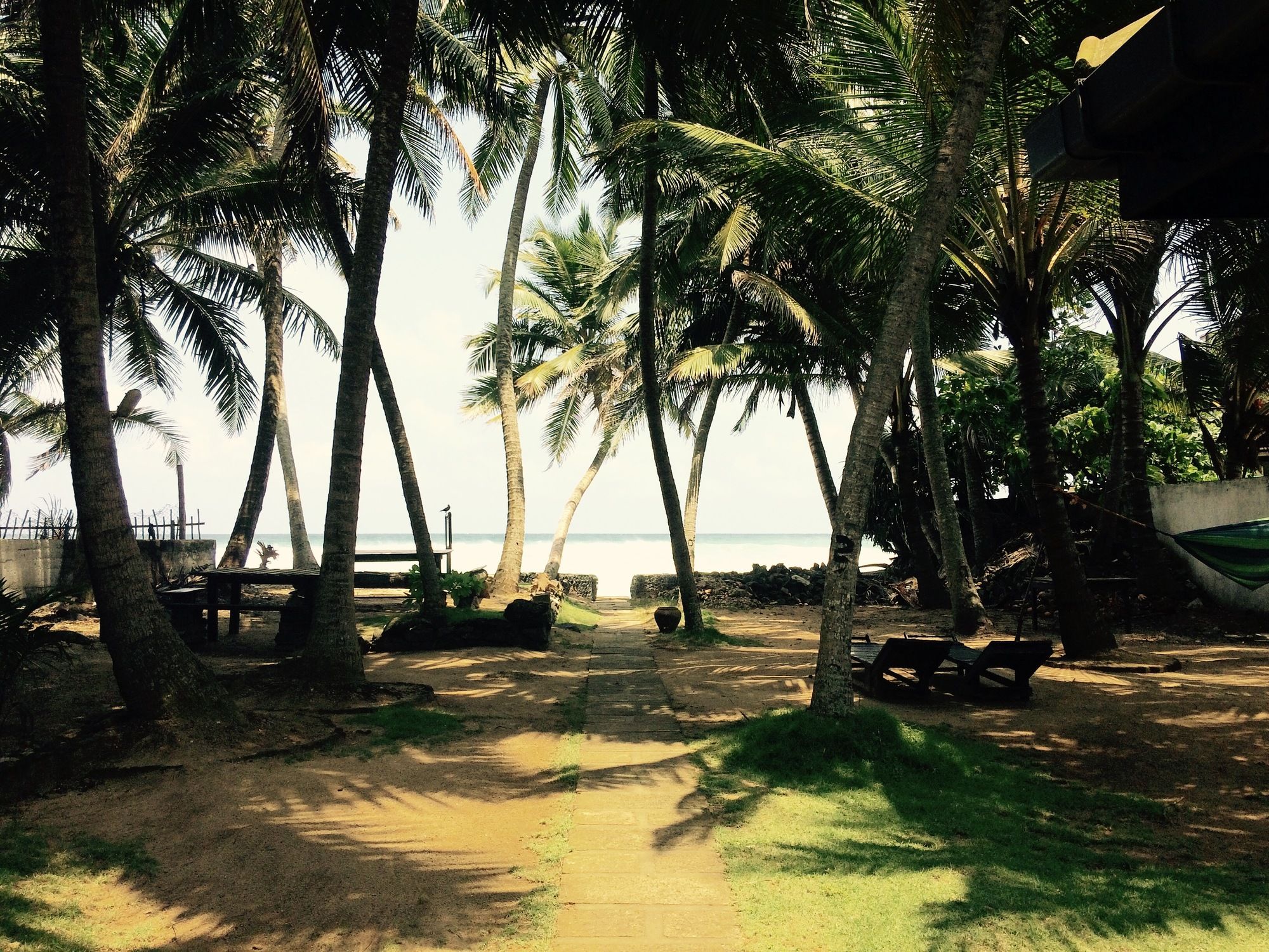 Фото Curry Bowl Restaurant & Turtles Rest