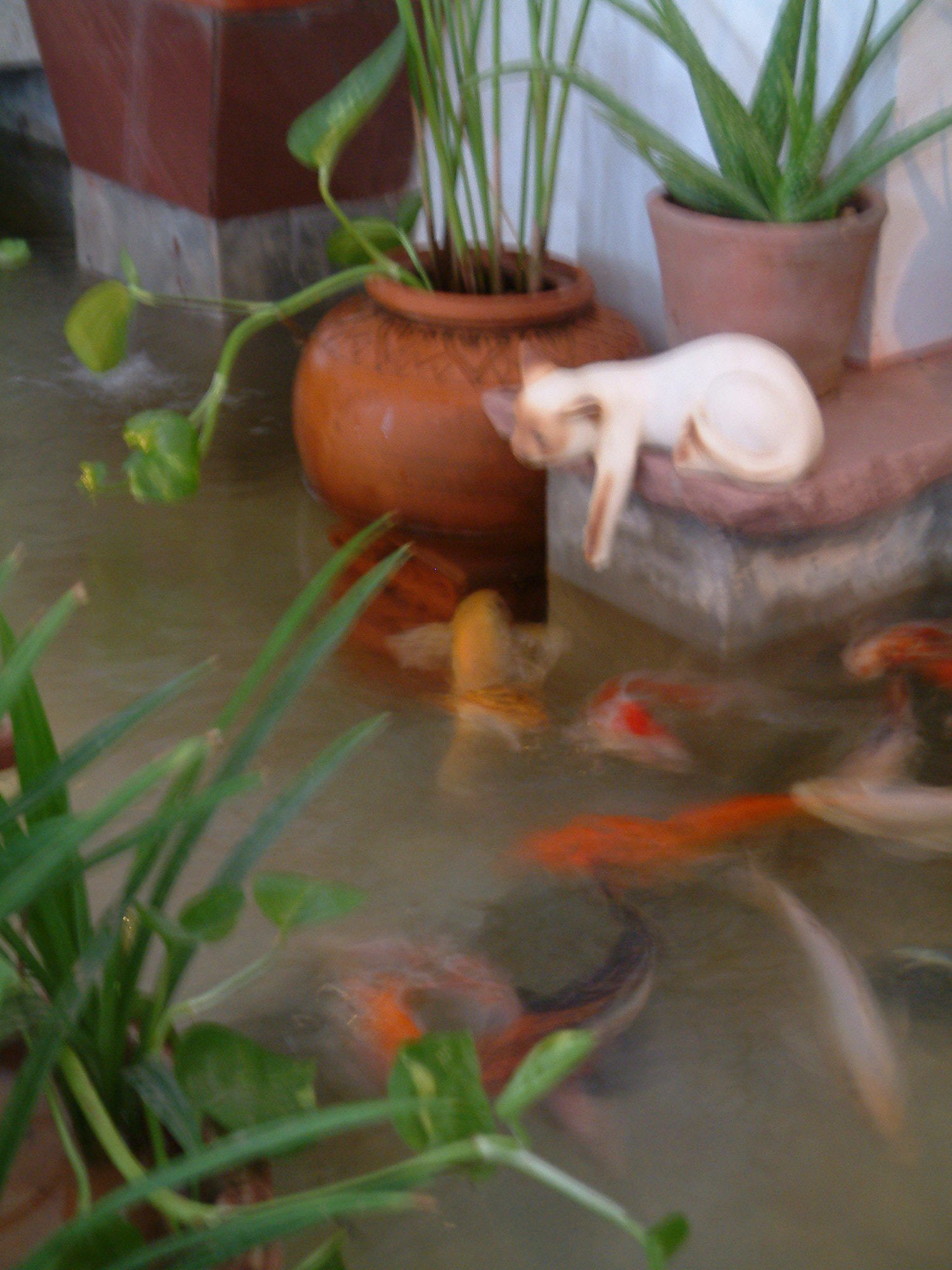 Фото Casa Holiday Hotel