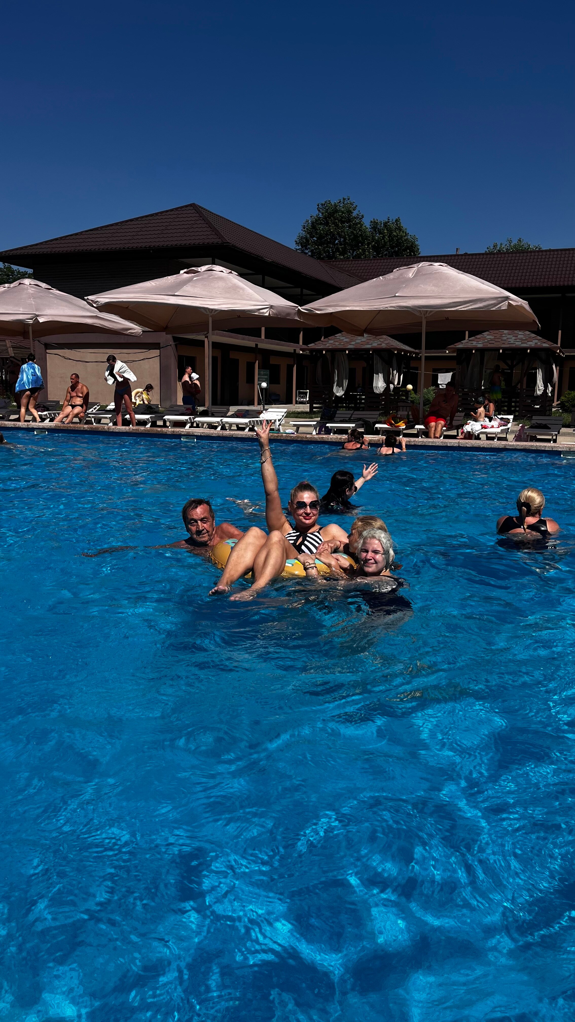 Фото Кипарис