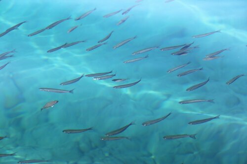 Внешний вид отеля Tymnos в Мармарисе, фото 5