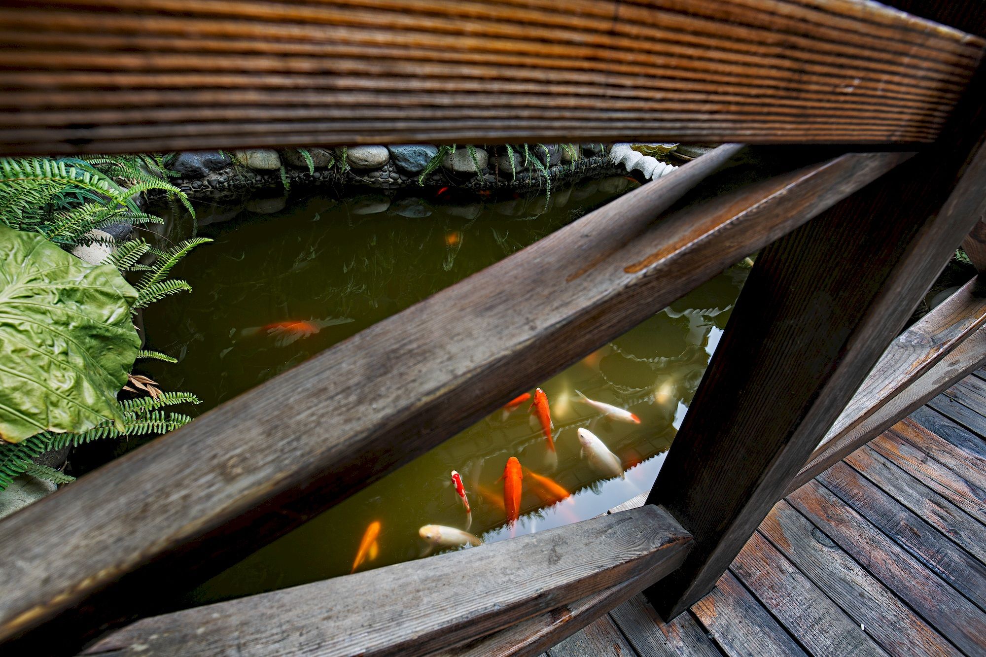 Фото China Old Story Inns Dali Ancient Town