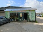 Наш сад (prospekt Pobedy, 46А), gardening shop