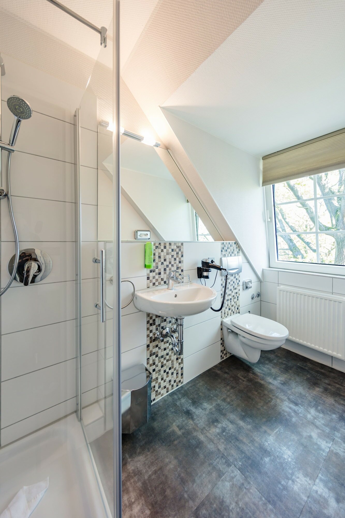 Фото Hotel Zum Zeppelin