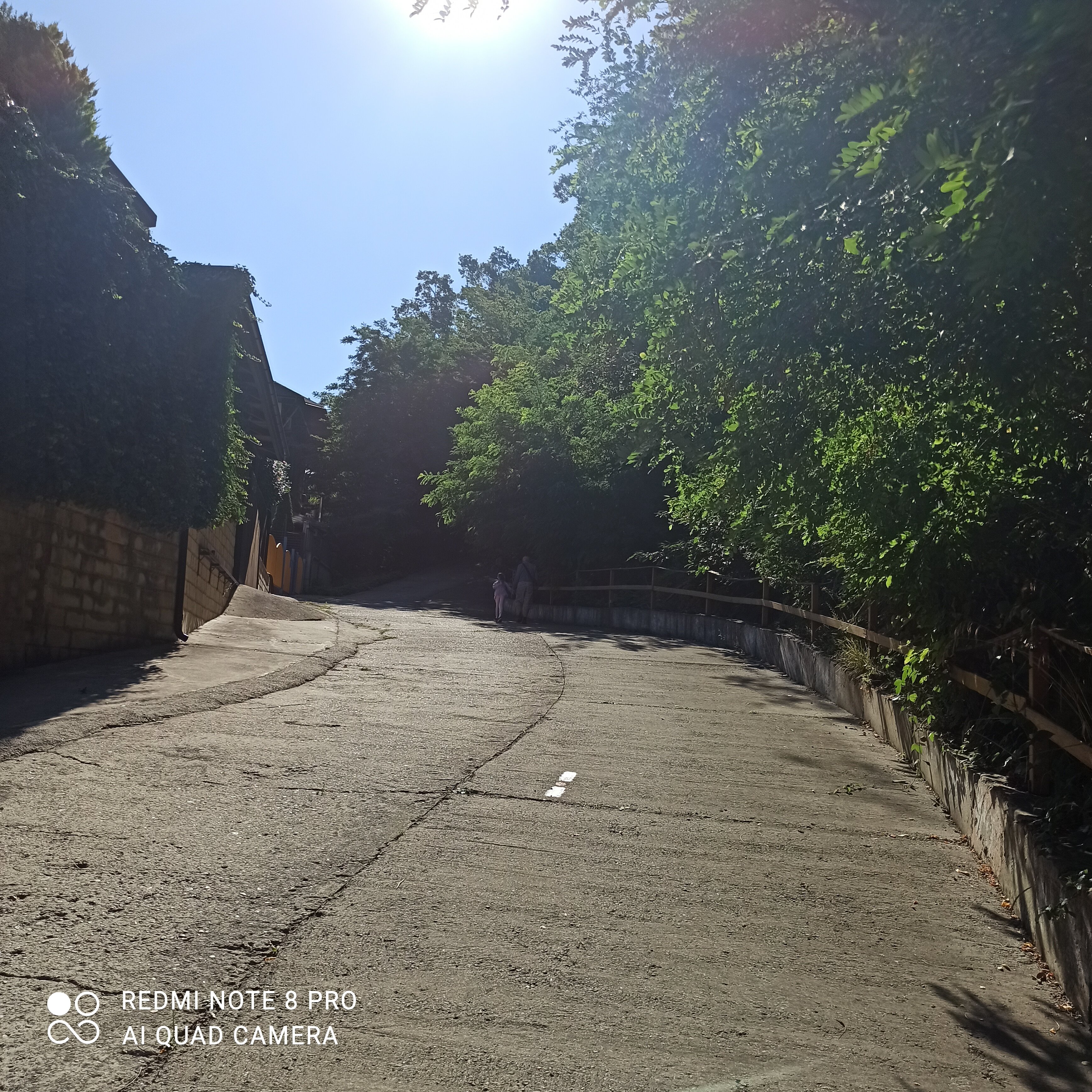 Фото Калипсо