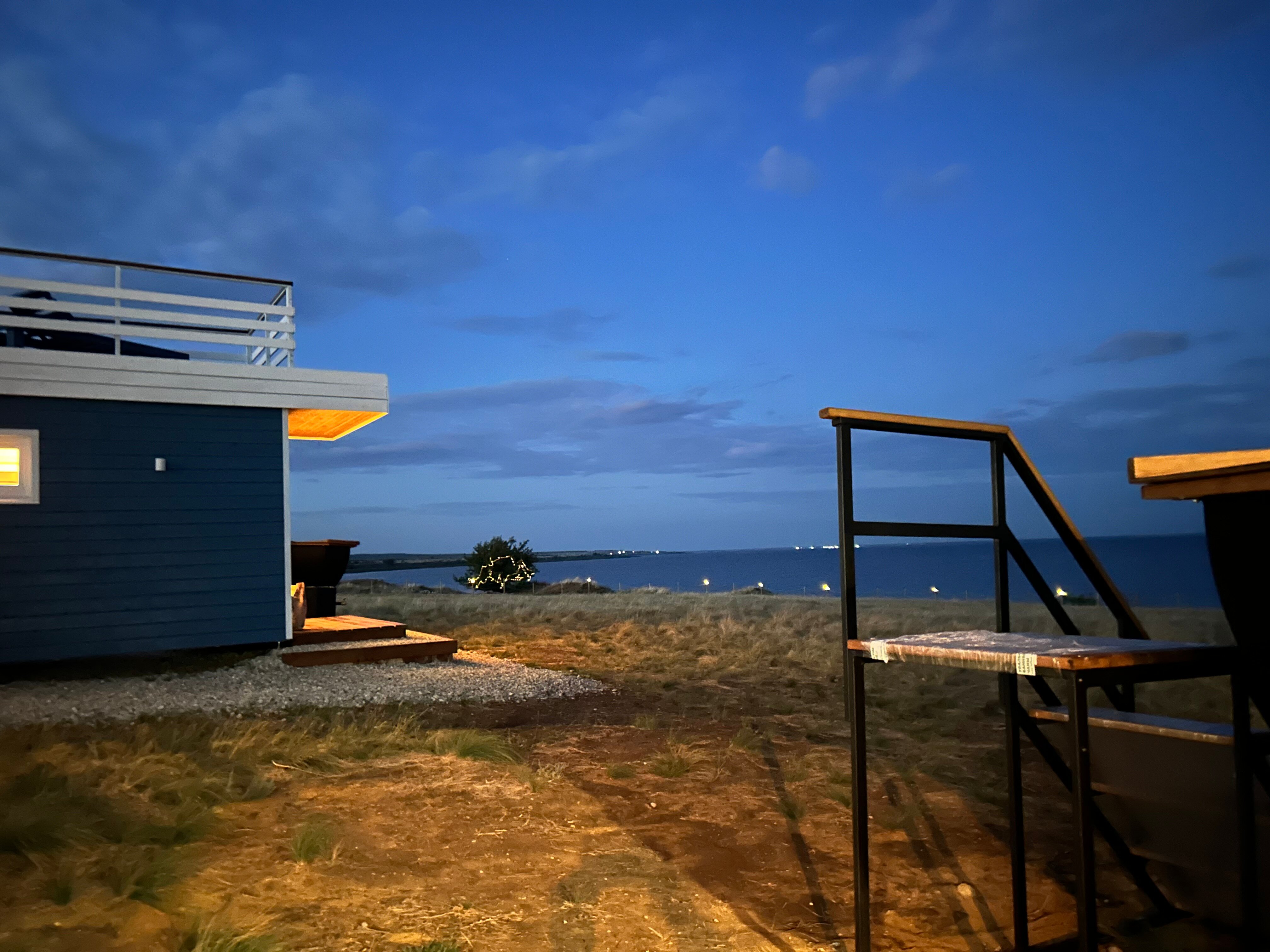 Фото Полынь