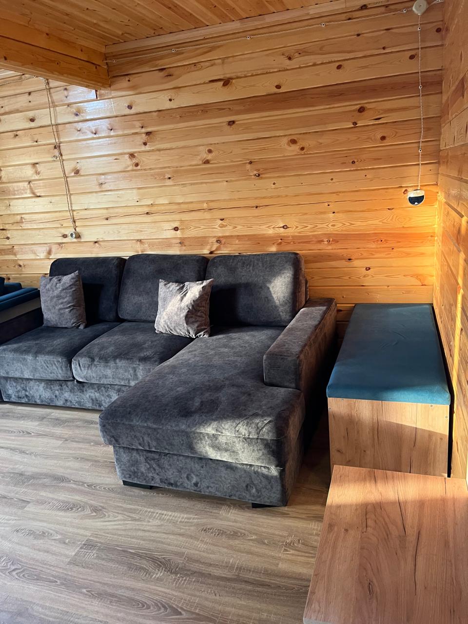 Фото Ежевика