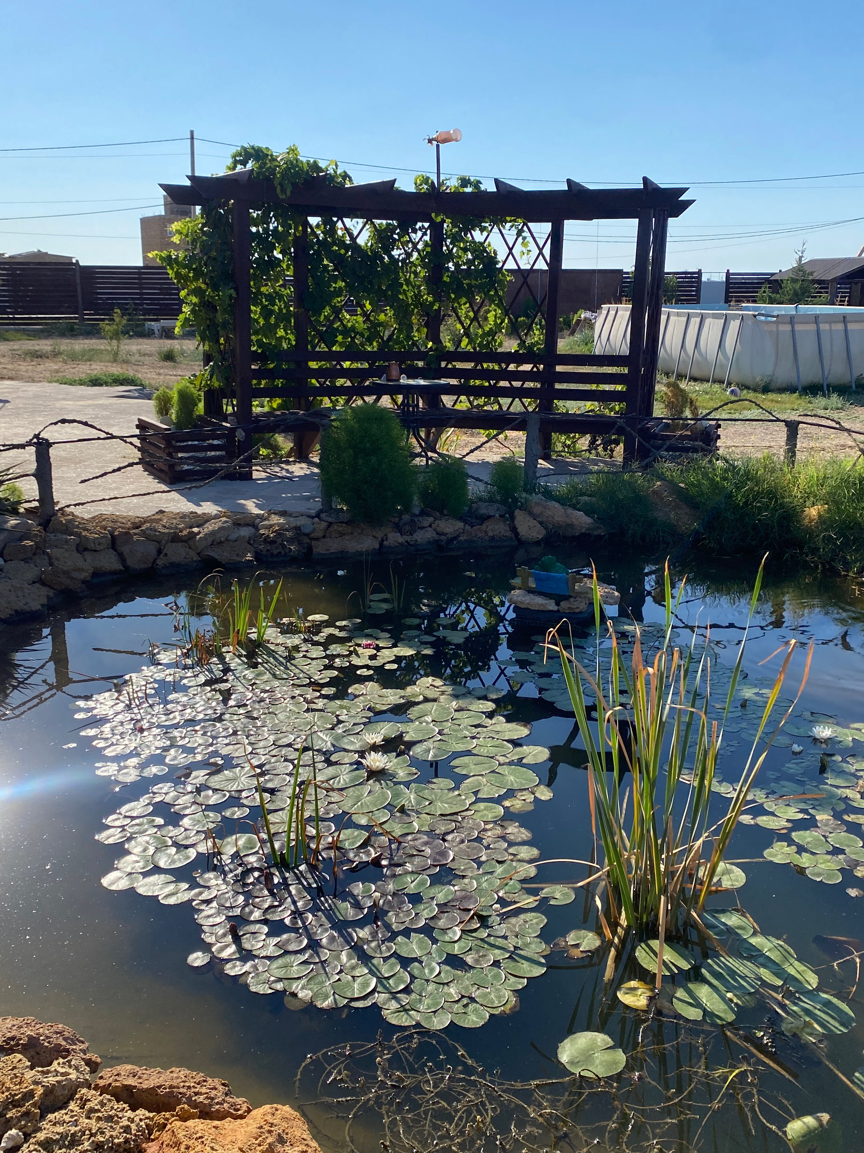 Фото Солнечный Бриз