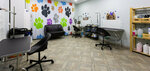 Grumerka (Kommunisticheskaya Street, 87) ، صالون حيوانات أليفة