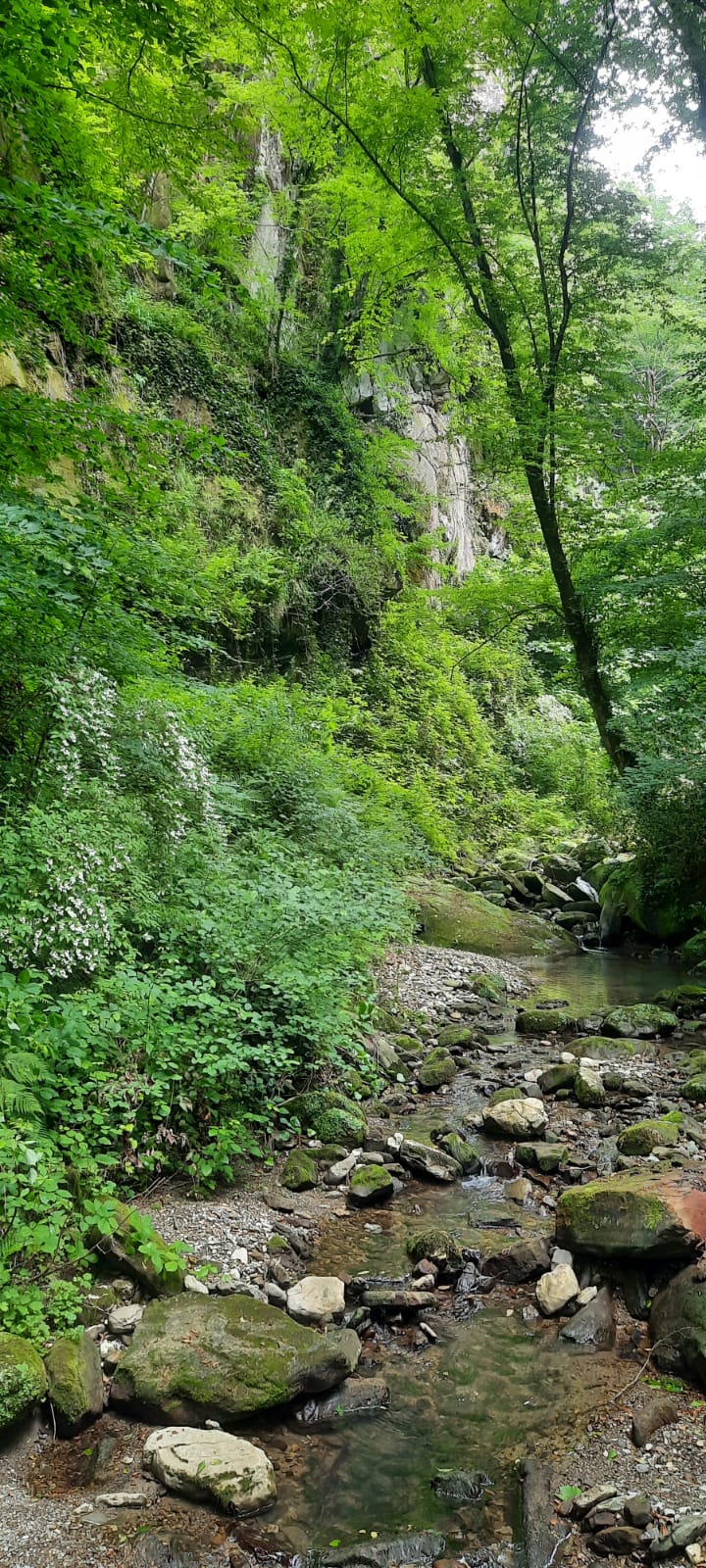 Фото Глобус