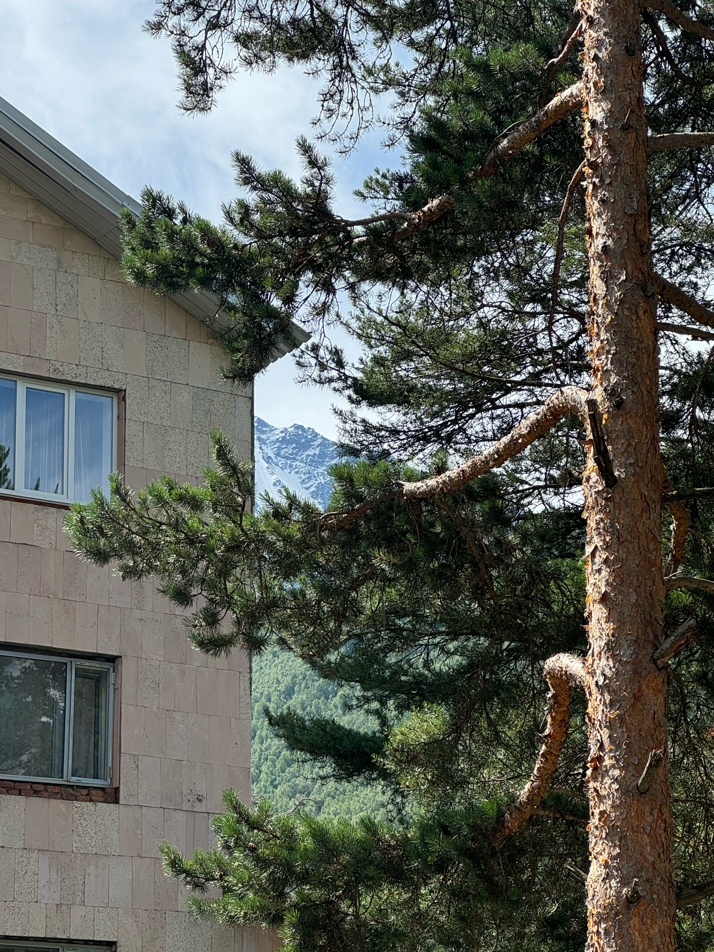 Фото Зима-Лето Терскол