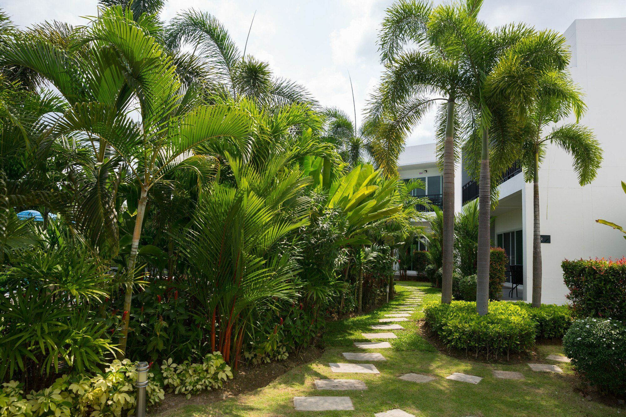 Фото The Serenity Resort