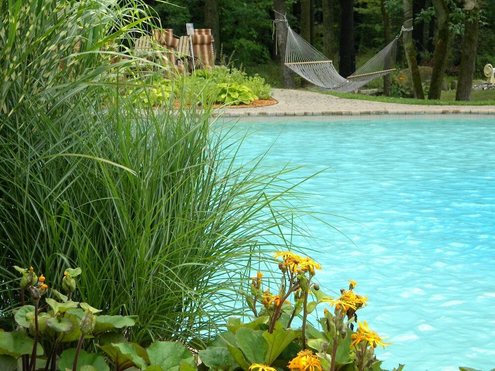 Фото L'Oasis de l'Île, Refuge Urbain