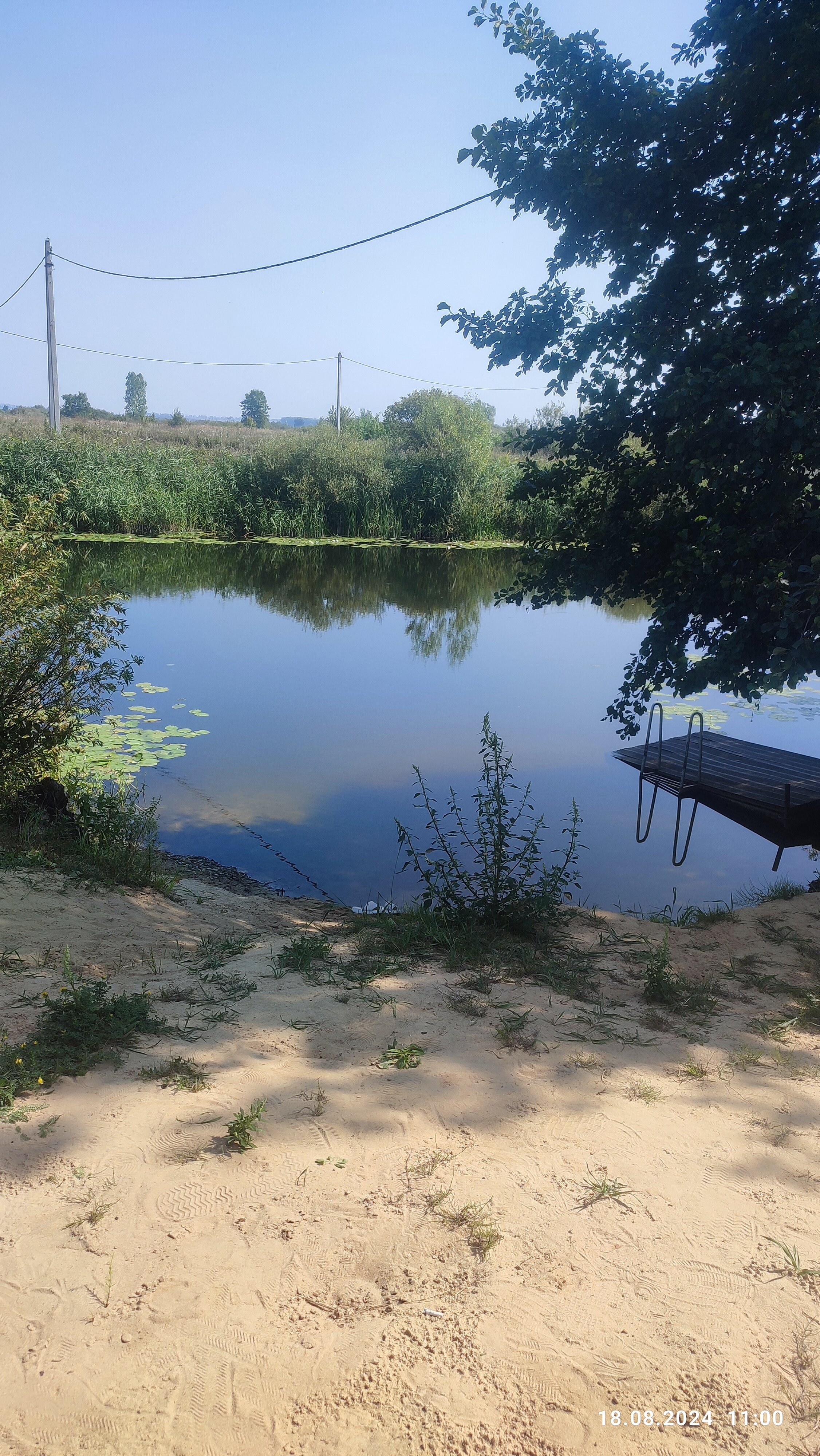 Фото Волшебница