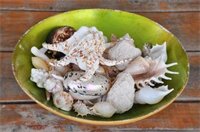 Фото O Casarao Guesthouse