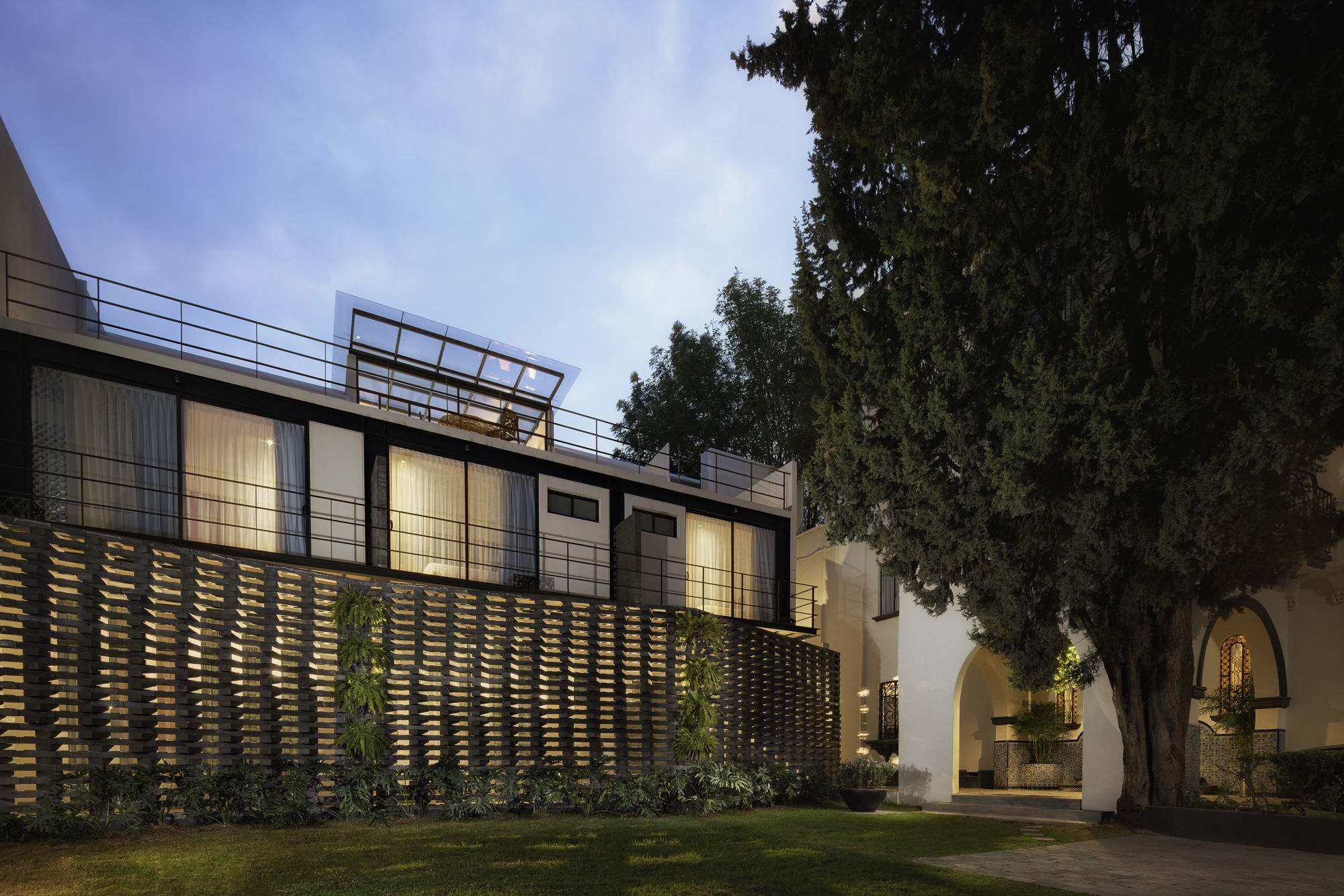 Фото Pug Seal Polanco Allan Poe