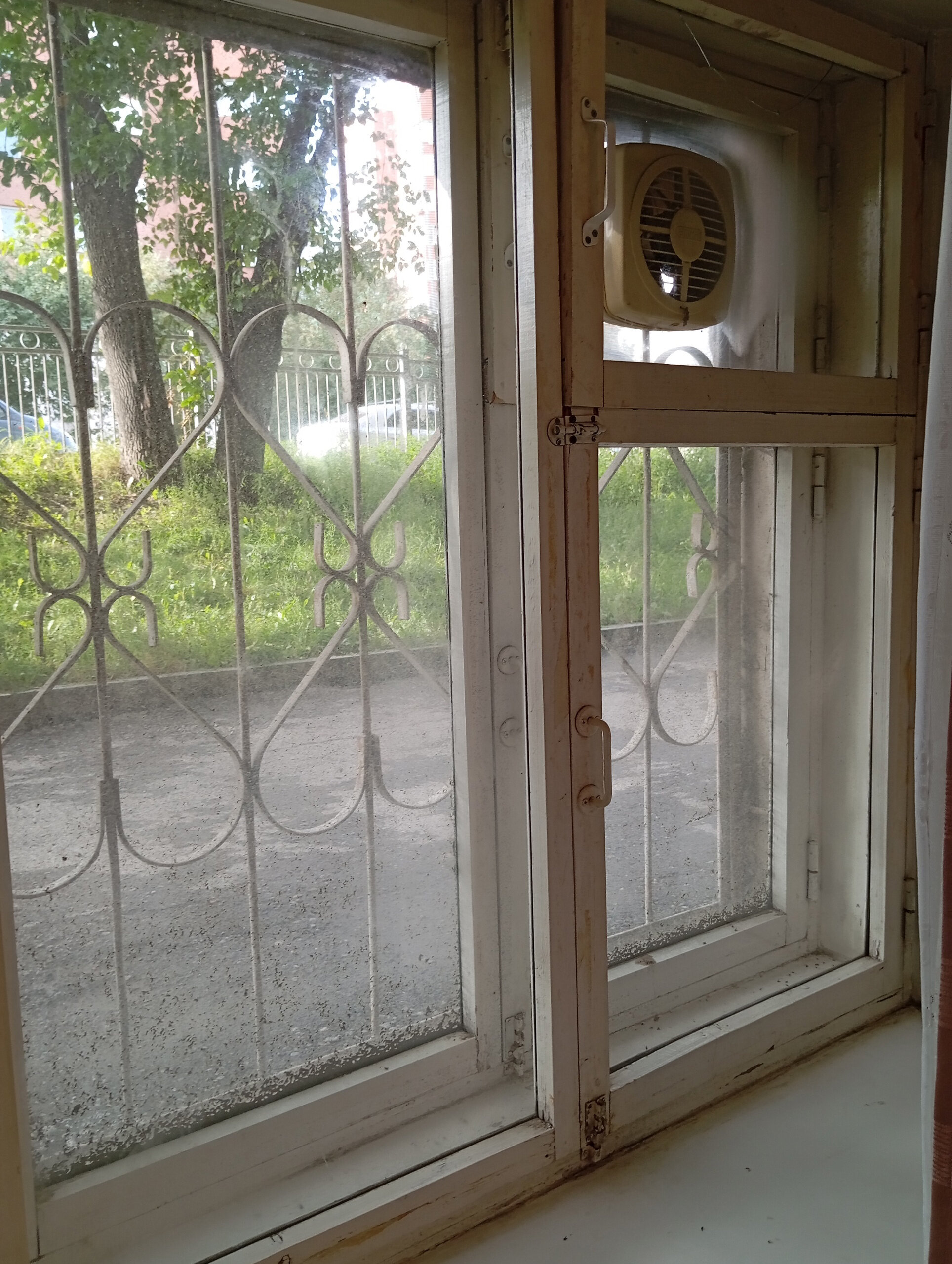 Фото Колосок