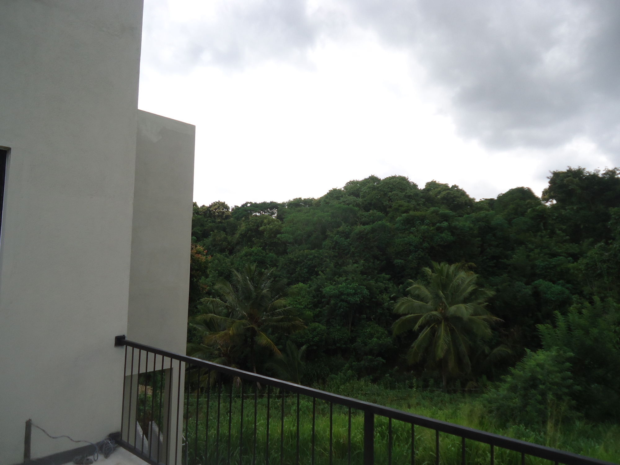 Фото Flower Seven Hotel