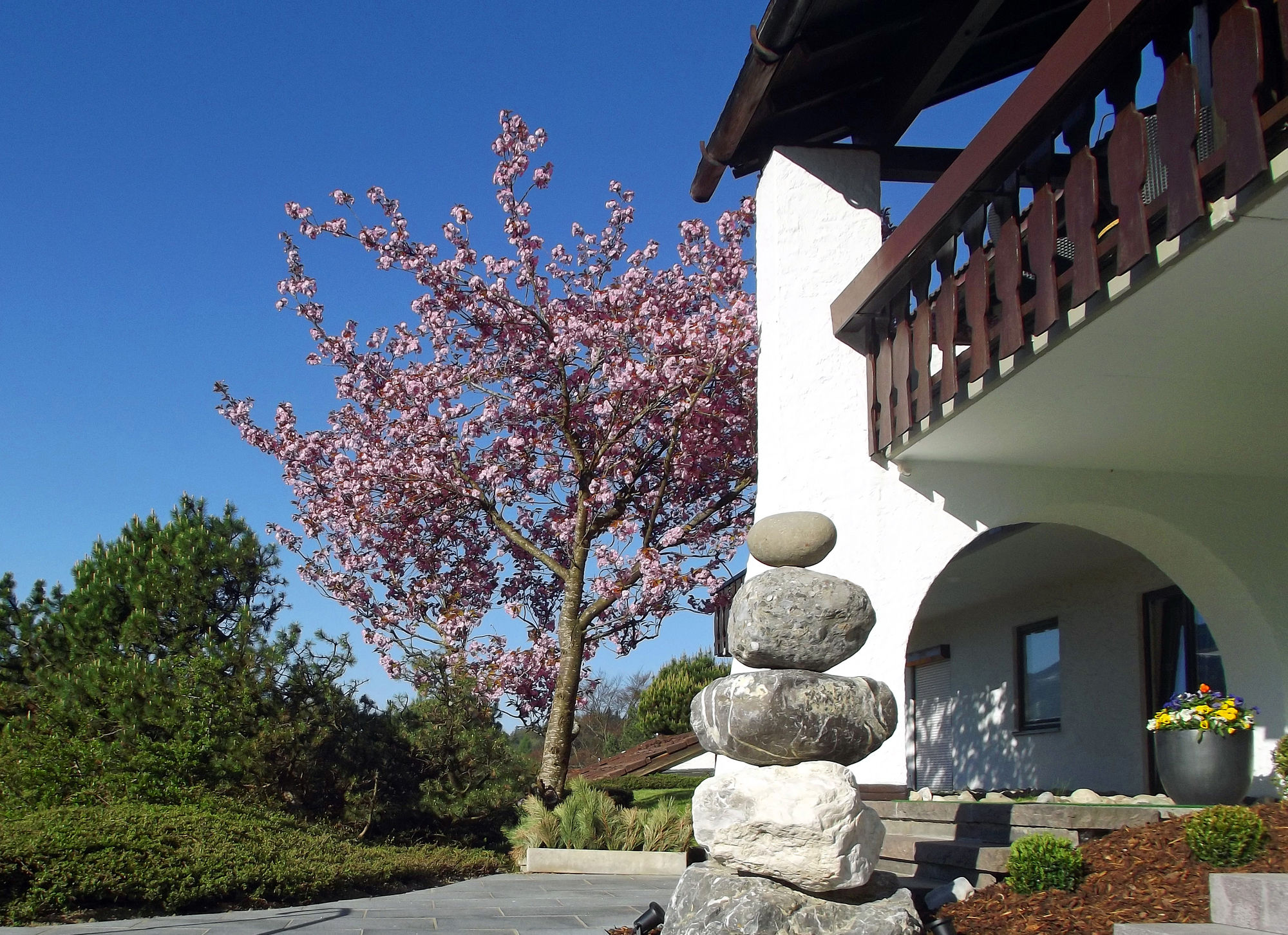 Фото Königshof Health & View