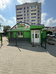 VetArt (Transportnaya ulitsa, 32), veterinary clinic