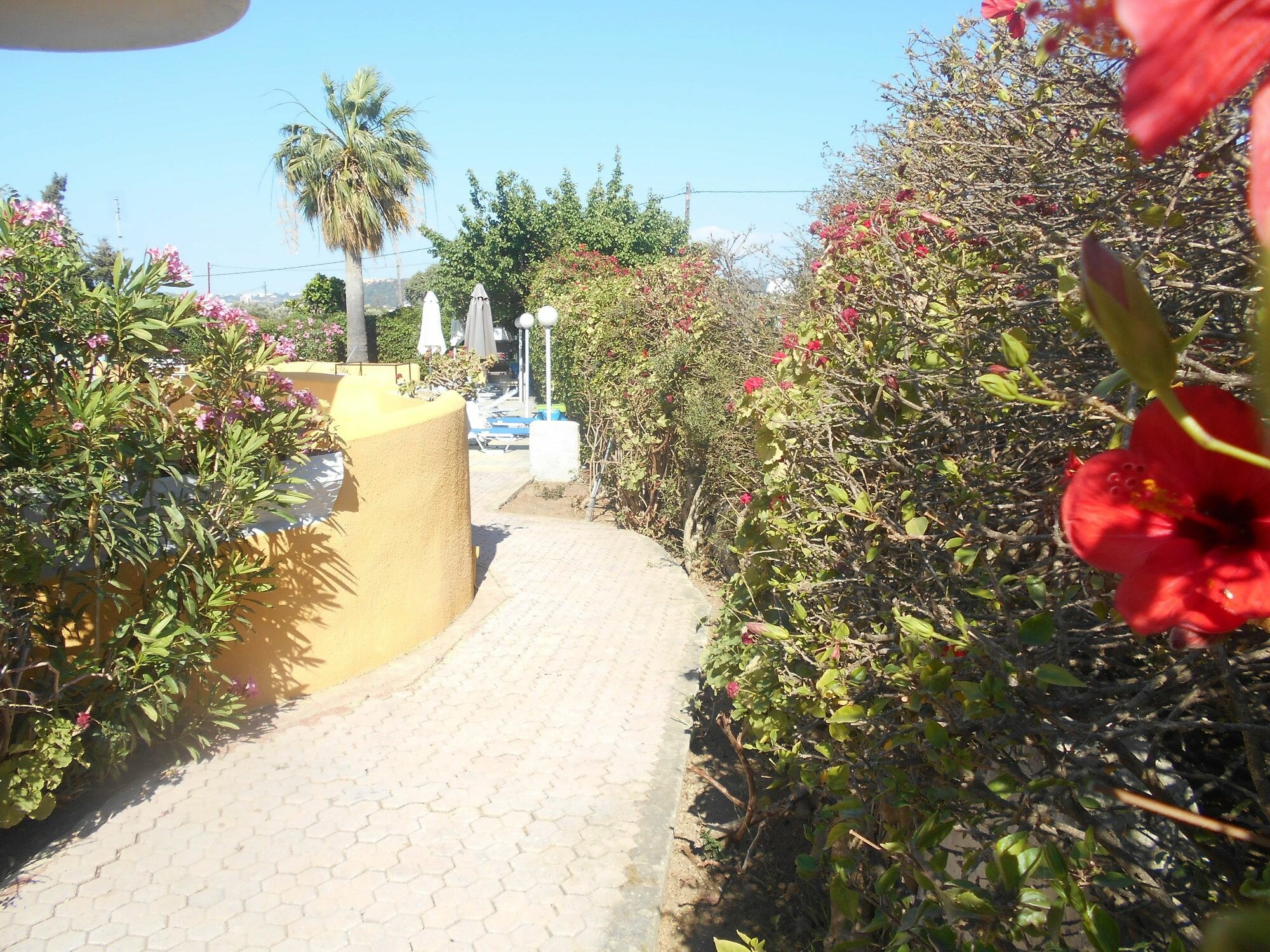 Фото Villa Sofia