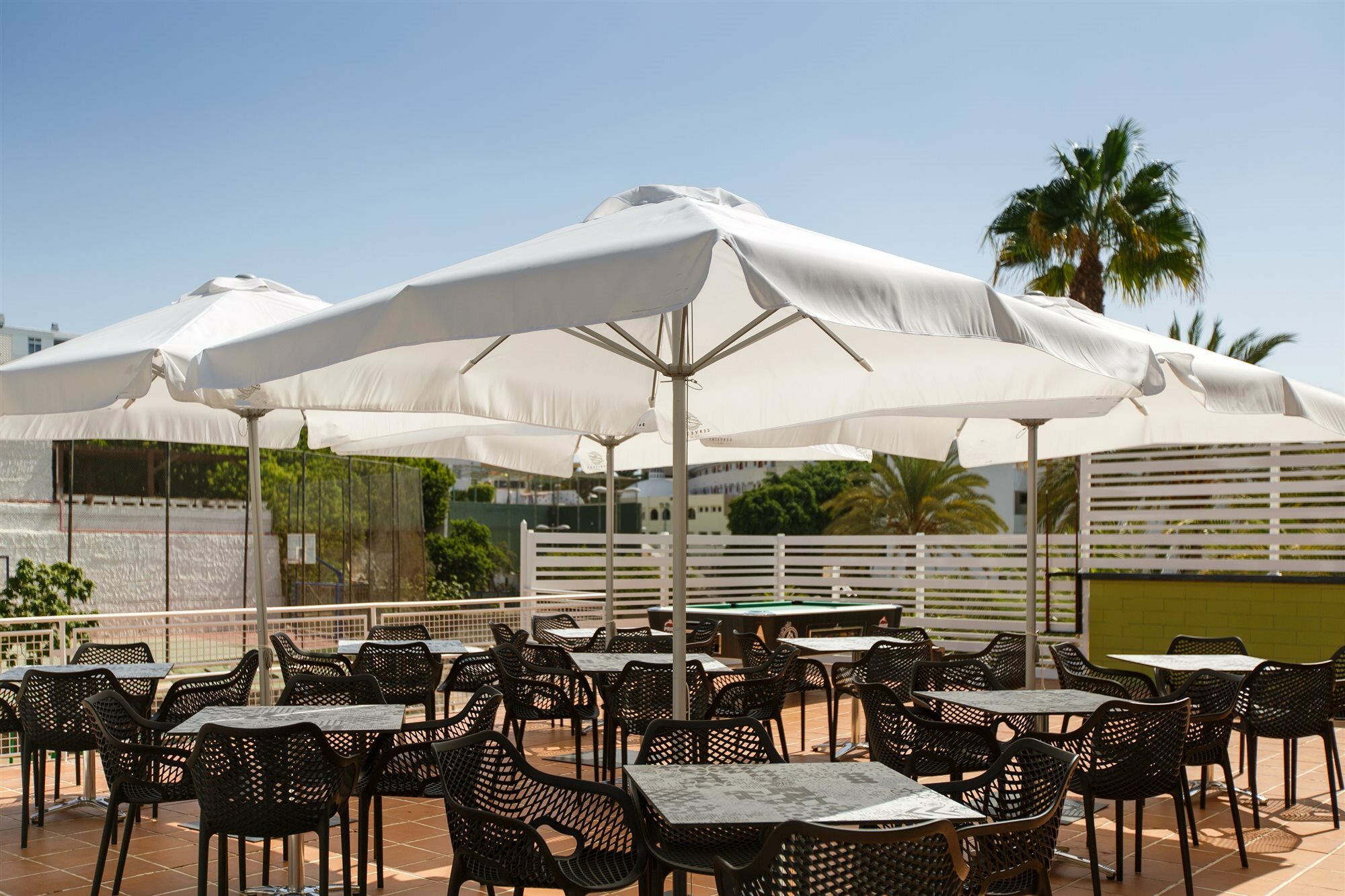 Фото Apartamentos Walhalla