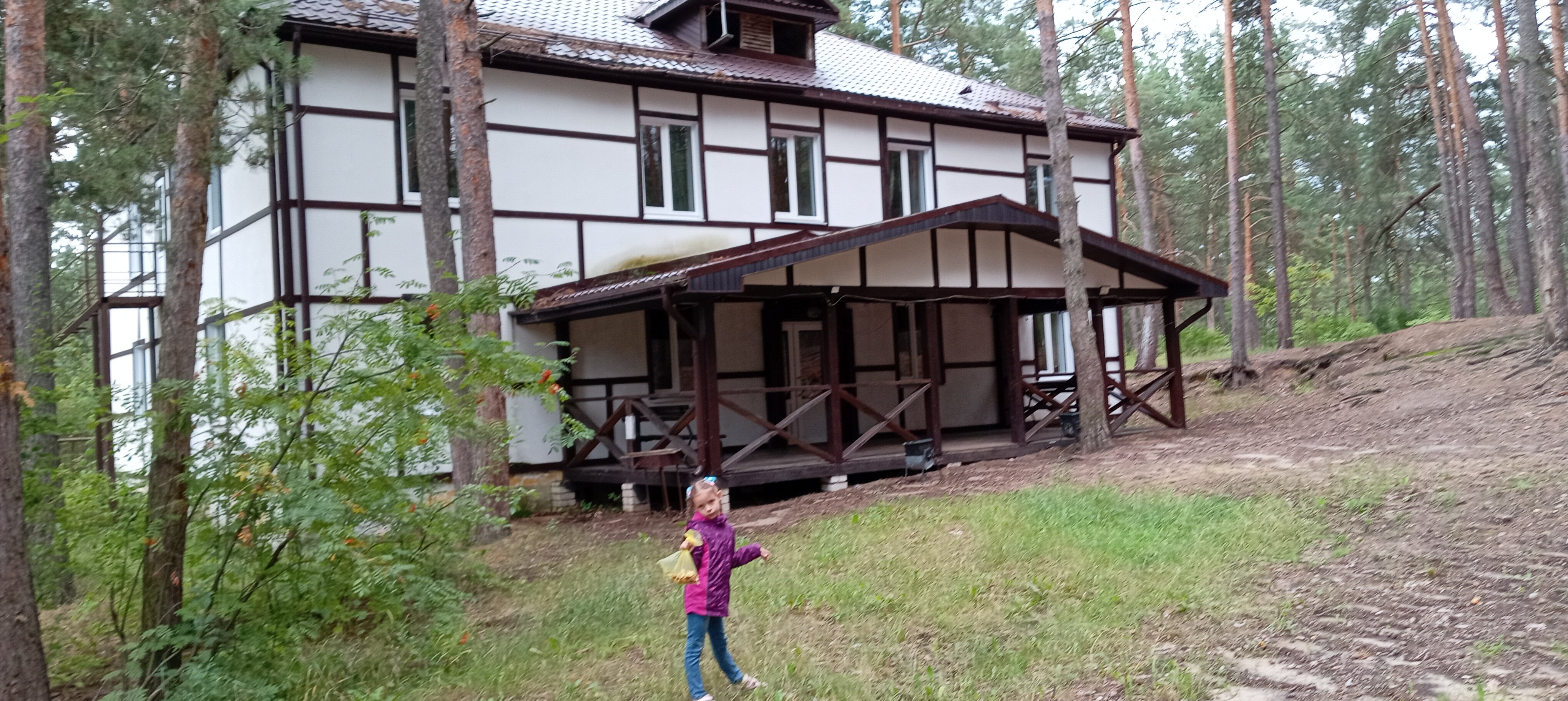 Фото Большая медведица