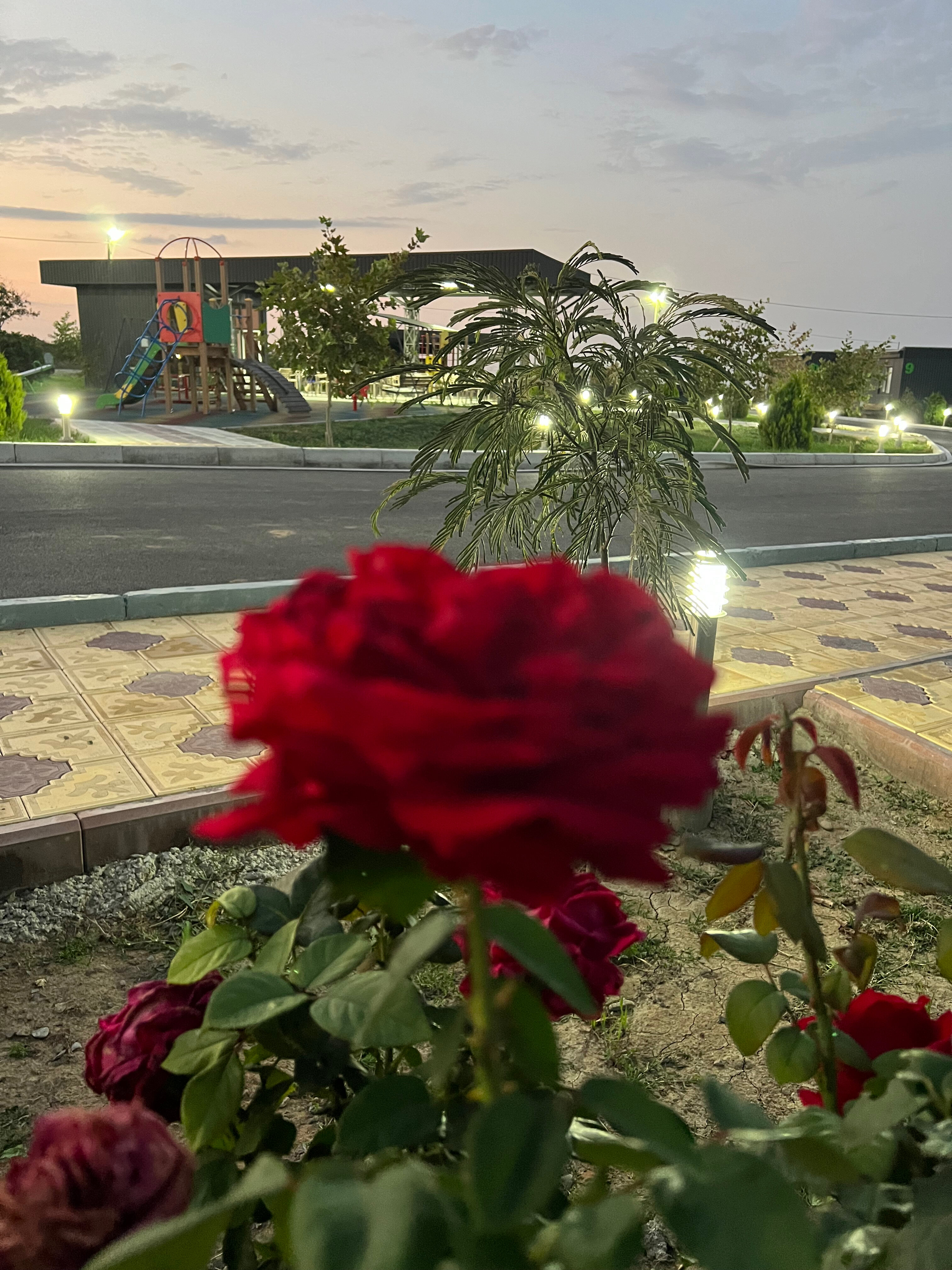 Фото Мамрач