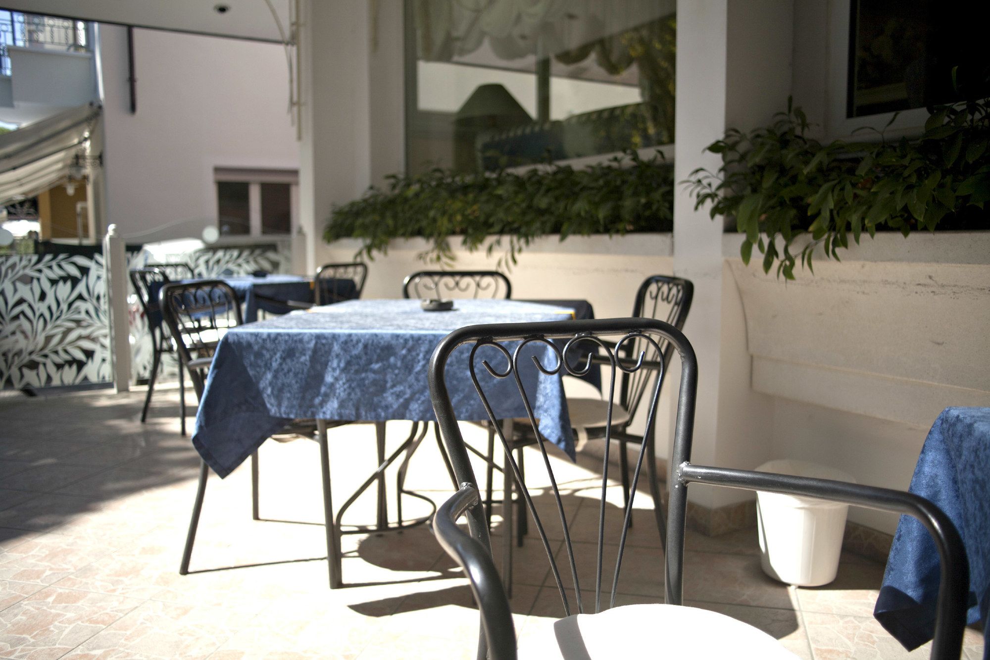 Фото Hotel Cannes Riccione