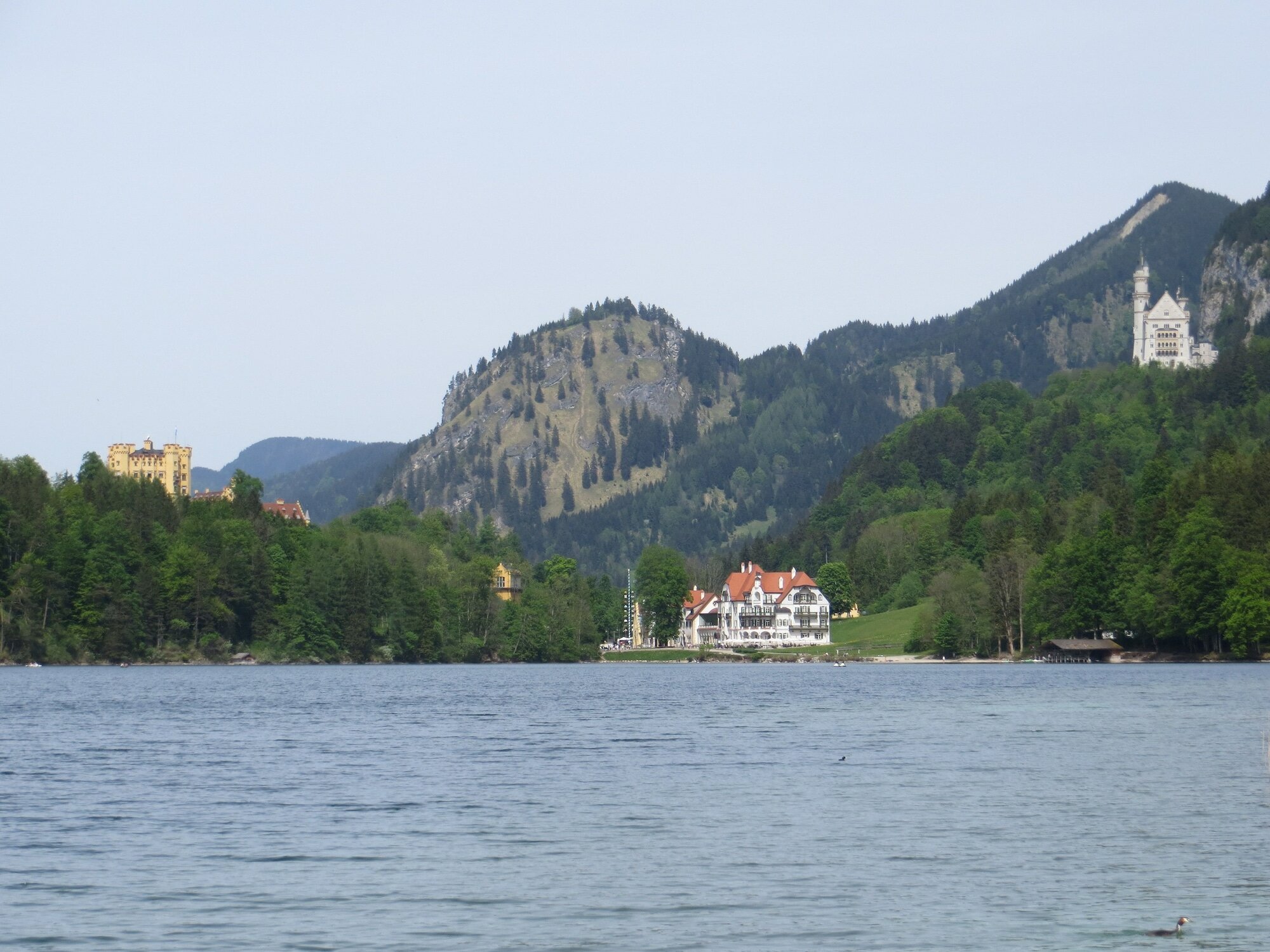 Фото Ameron Neuschwanstein Alpsee Resort & SPA