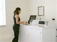 Фото Best Western Tampa