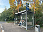 Школа (Moscow Region, Odintsovskiy Urban District, dachny posyolok Lesnoy Gorodok, Tsentralnaya ulitsa), public transport stop