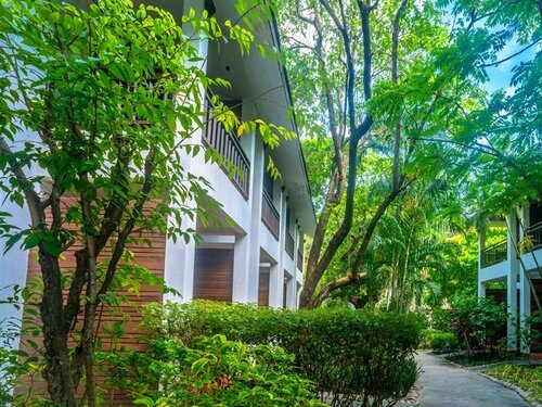 Внешний вид отеля The Hive Hotel Samui в Ламае, фото 4