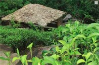 Гостиница The Wild Spring