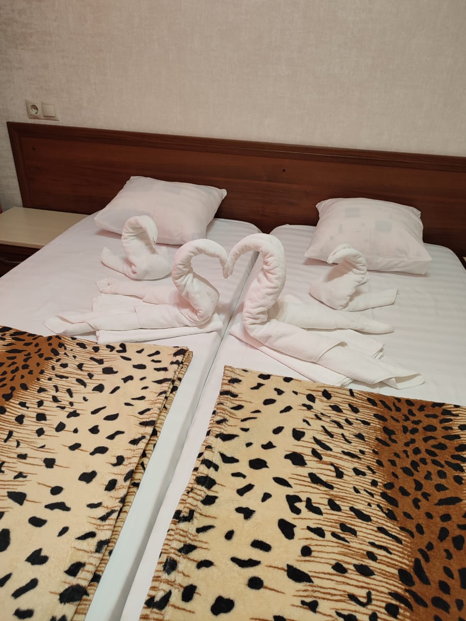 Фото Катран