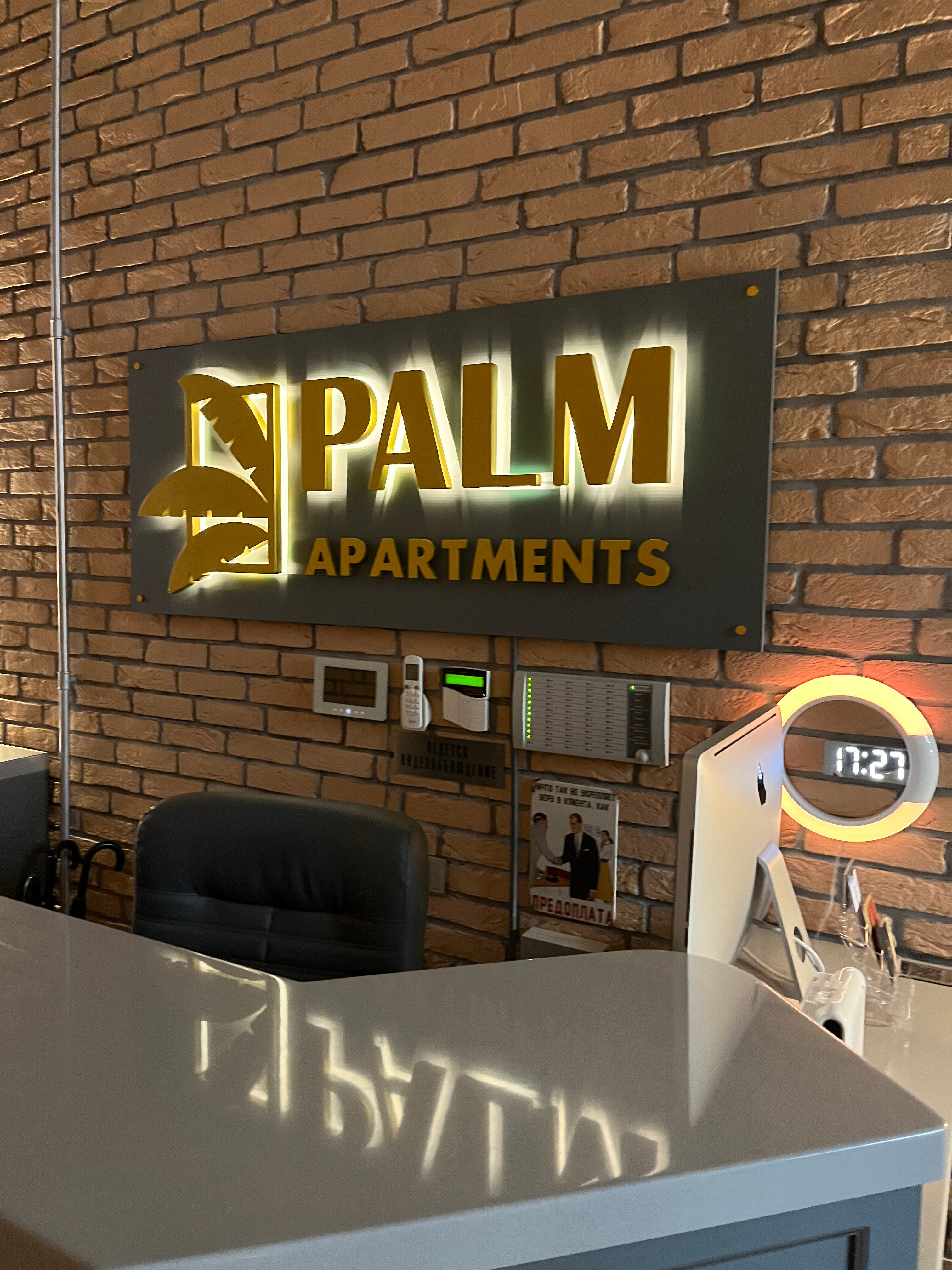 Фото Пальма