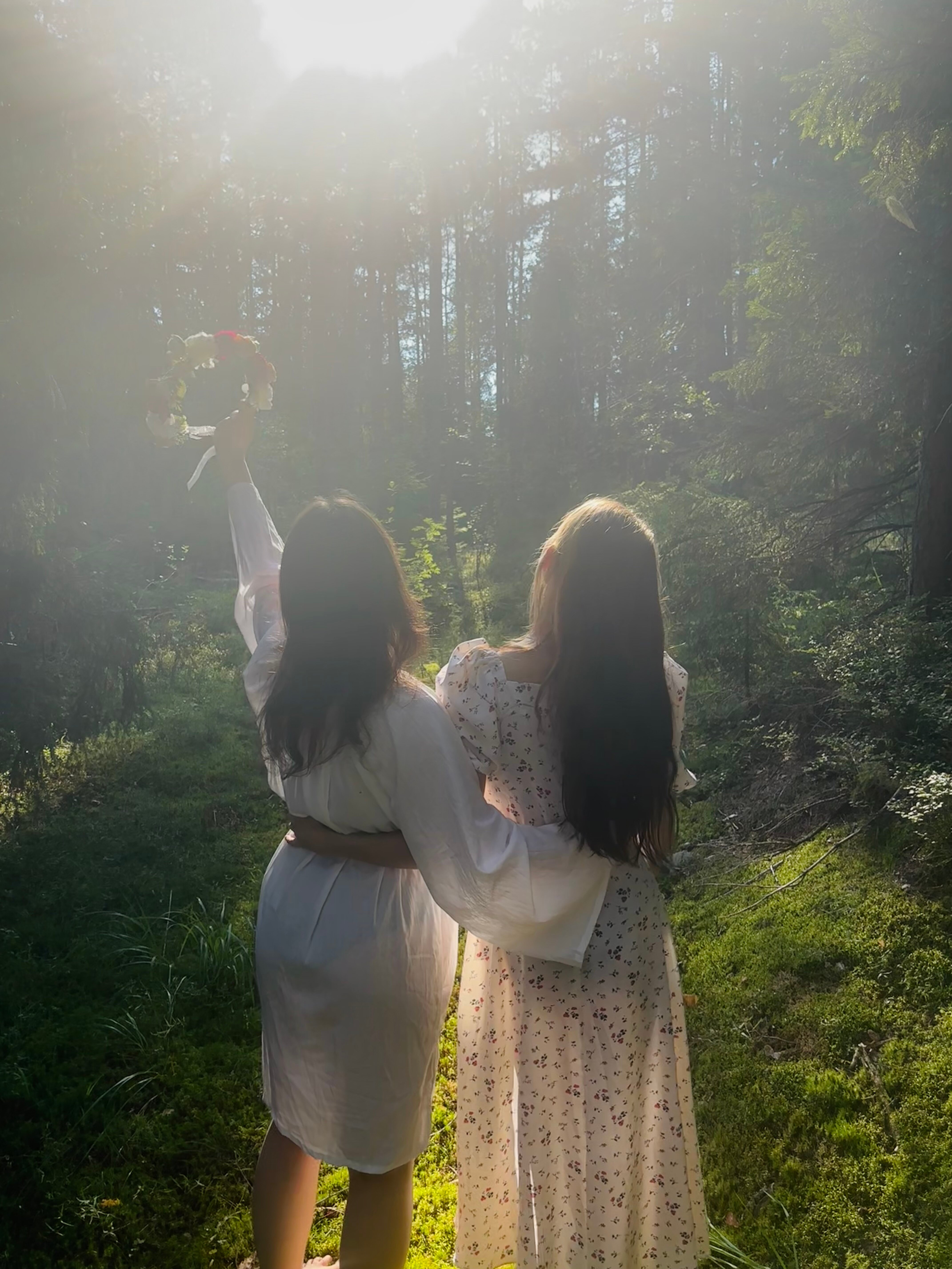 Фото Вереск