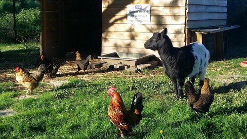 Гостиница Hotel Kyriad Libourne - Saint Emilion в Либурне