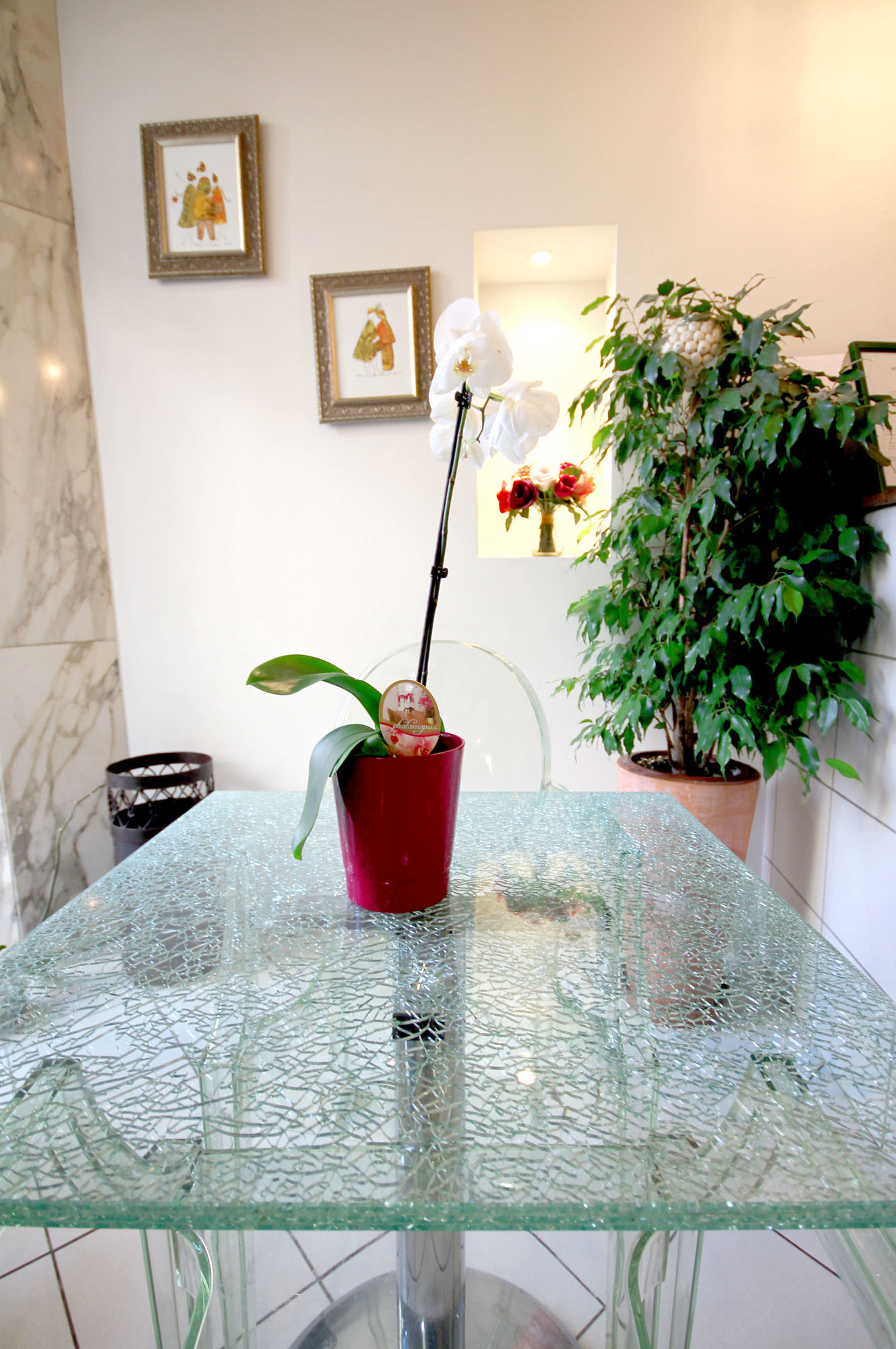 Фото Hotel Le Florian Cannes