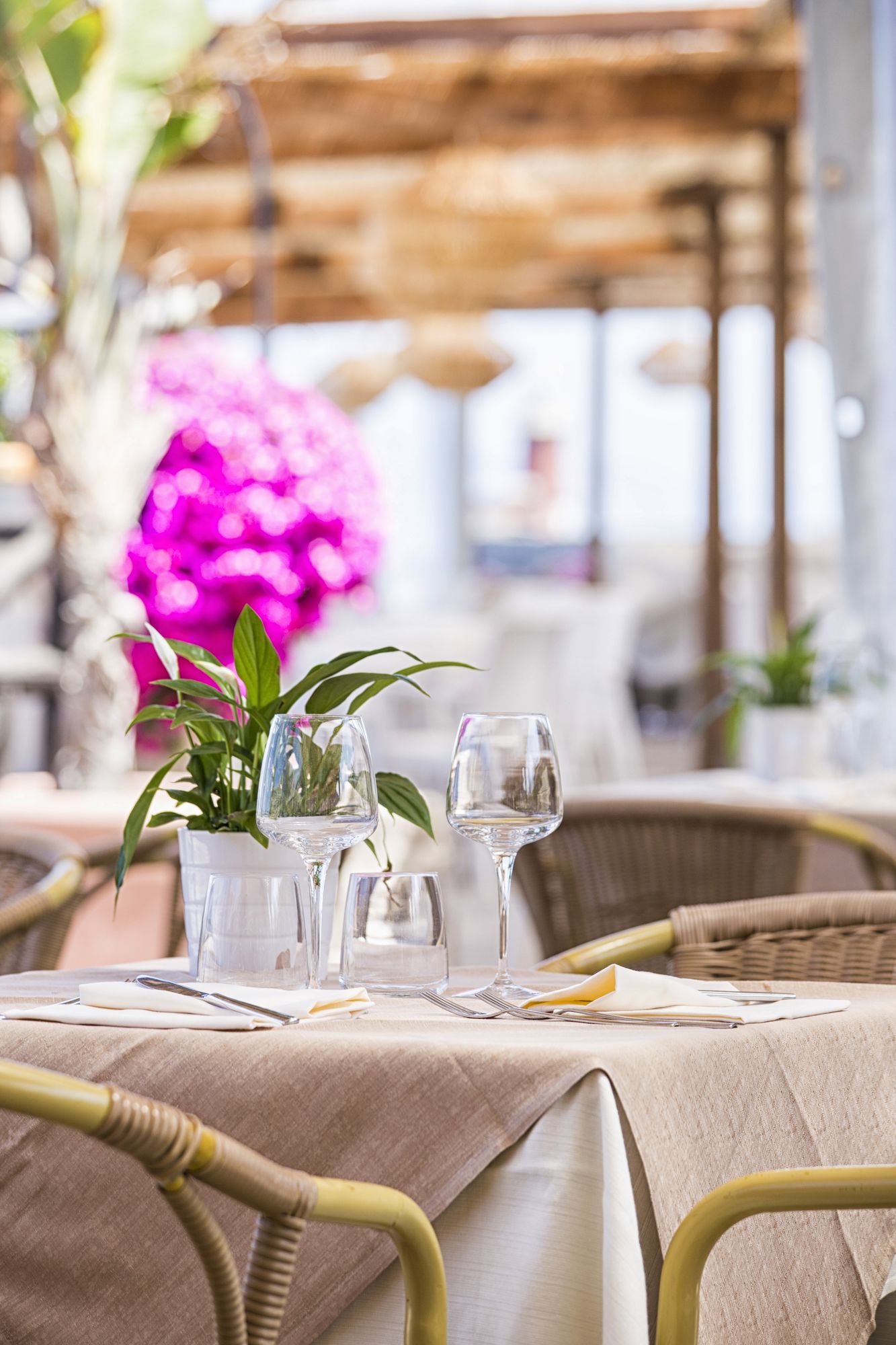 Фото Hotel Pagoda