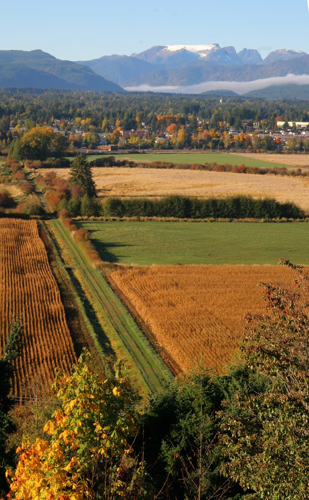 Фото Bayview Hotel