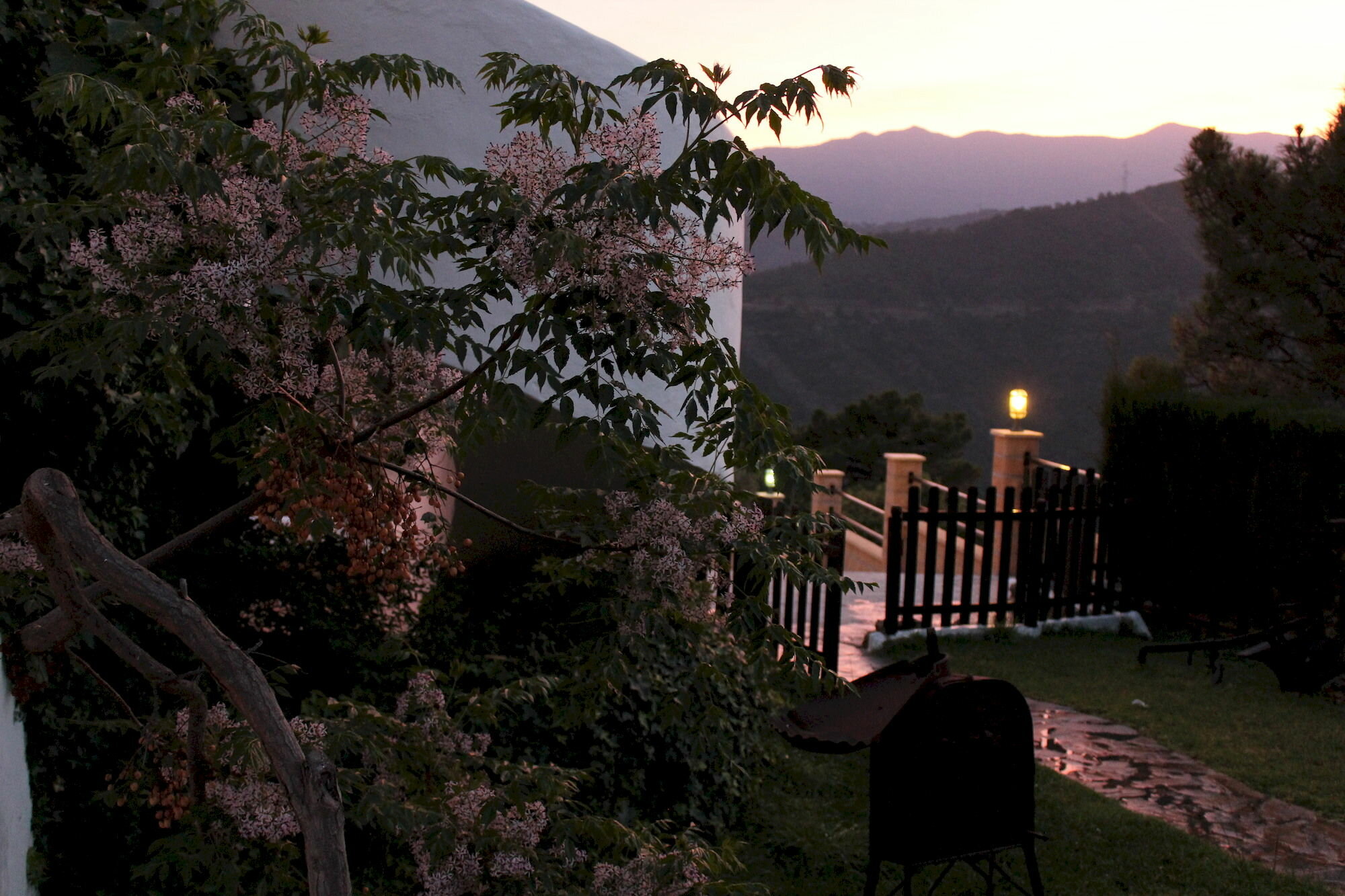 Фото Hotel Los Jarales