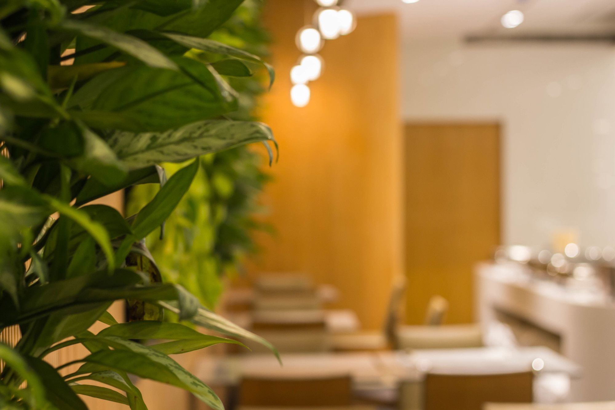 Фото The Carlton