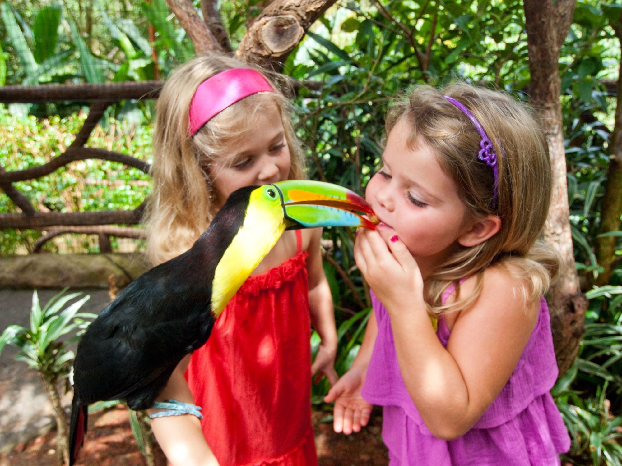 Фото Peace Lodge