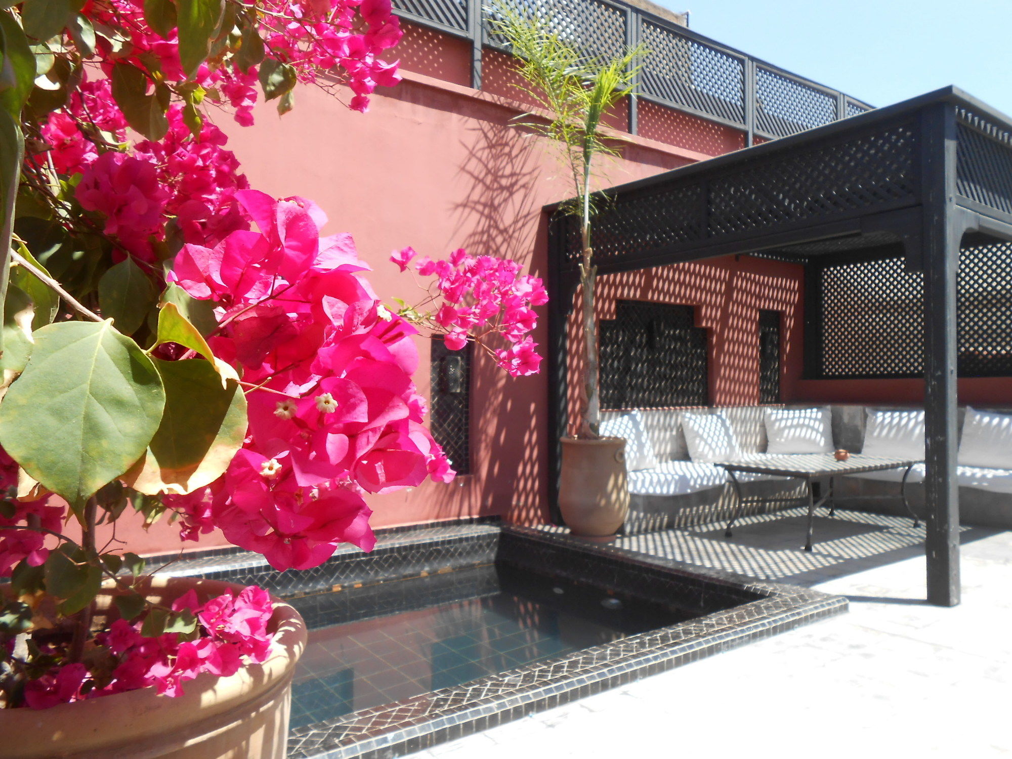 Фото Riad Alegria