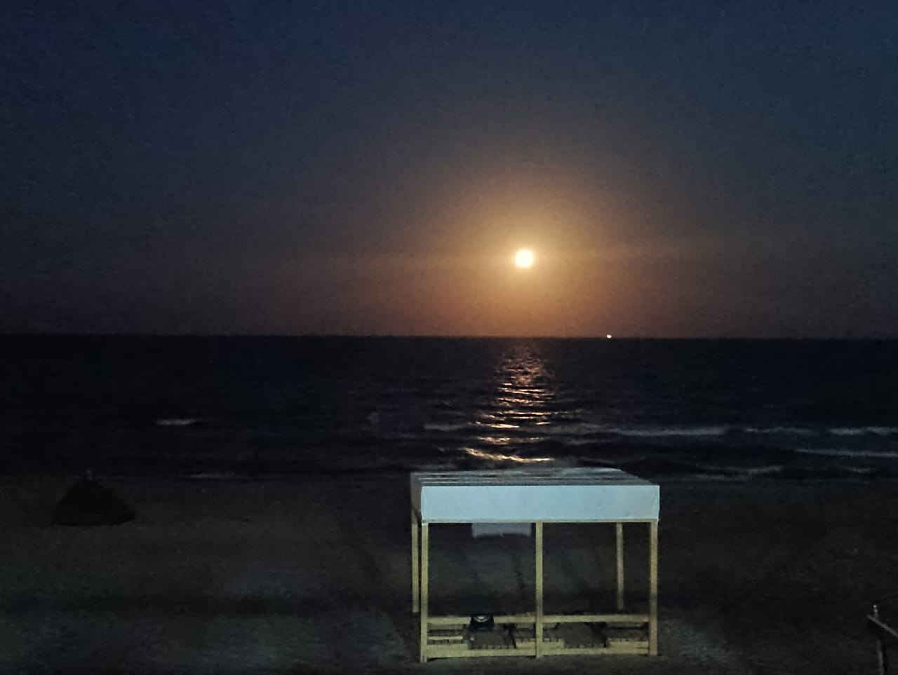 Фото Экзотика-Атлантик