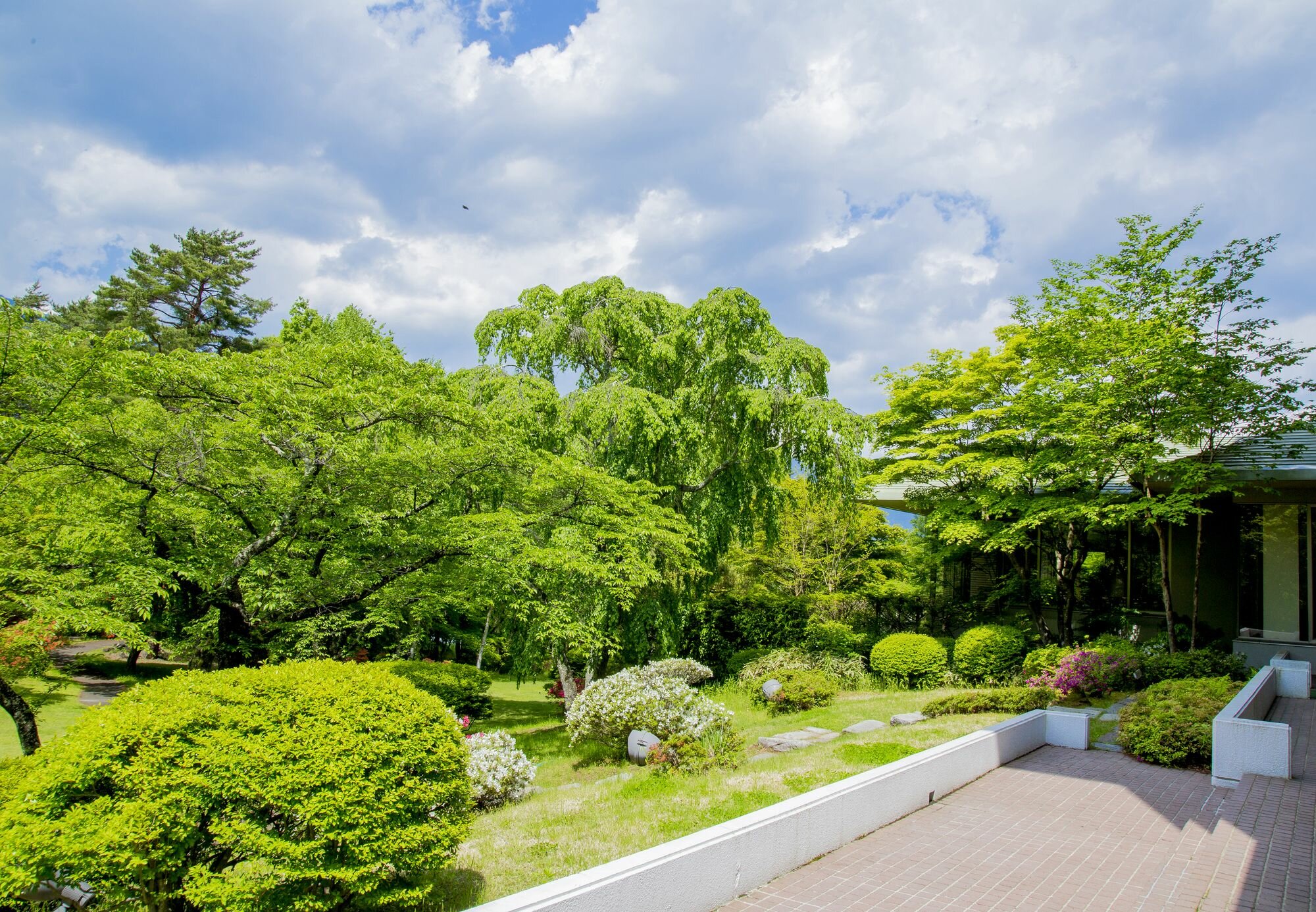 Фото Fuji View Hotel